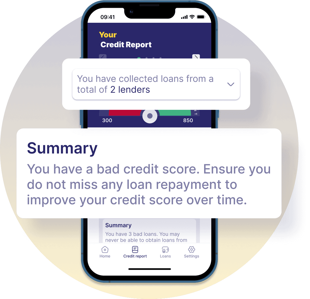 PebbleScore app showing credit report